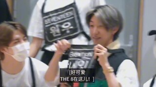 小八可爱死我啦