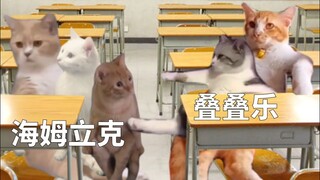 Sự khác biệt giữa nữ sinh và nam sinh trong giờ giải lao