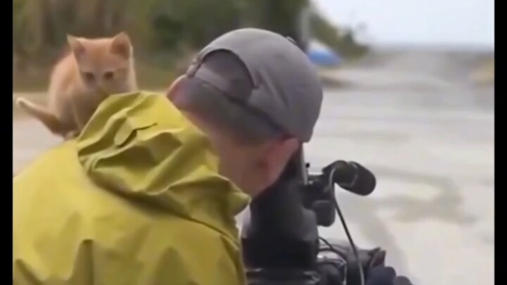 A heartwarming scene from filming a documentary