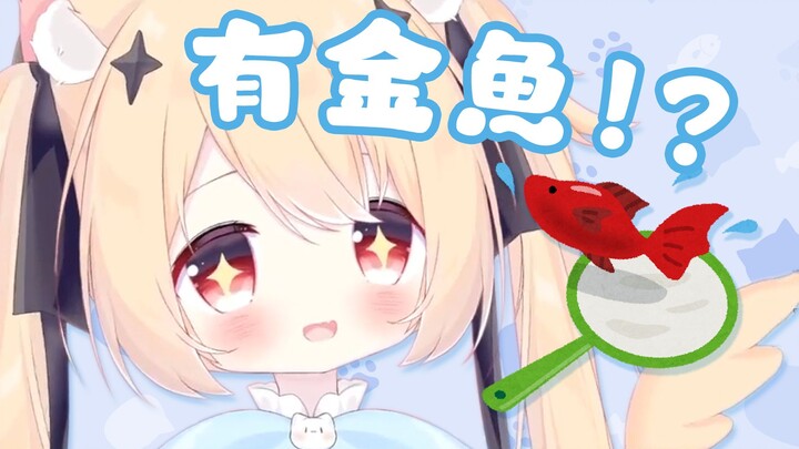 看 金 鱼