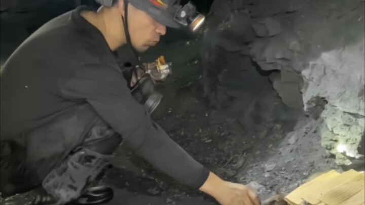 Di dalam tambang batu bara, saya dan tikus menjadi teman baik: generasi kedua tikus telah datang mel