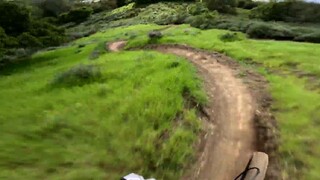 娃哈哈~娃哈哈~