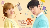 A Good Day to Be a Dog Episode 12