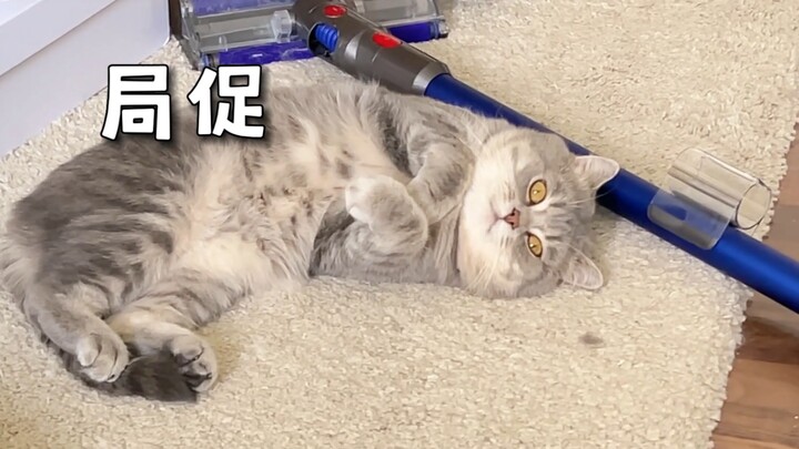 Dạo này mua nhiều đồ quá, để không hết, chiếm mất cả bãi biển nhỏ của Tẩu Tẩu