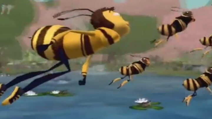 racing fly escaped from the frog