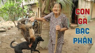 CƠM MIỀN QUÊ #4 - GÀ KHO LÁ QUẾ | Chuyện Phương Kể