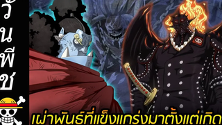 วันพีช เผ่าพันธุ์ที่แข็งแกร่งมาตั้งแต่เกิด ในเรื่องวันพีช !!