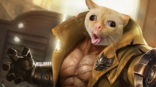 MEOOWWW!!! Diam seperti Kucing Bergerak Jadi Anjing..