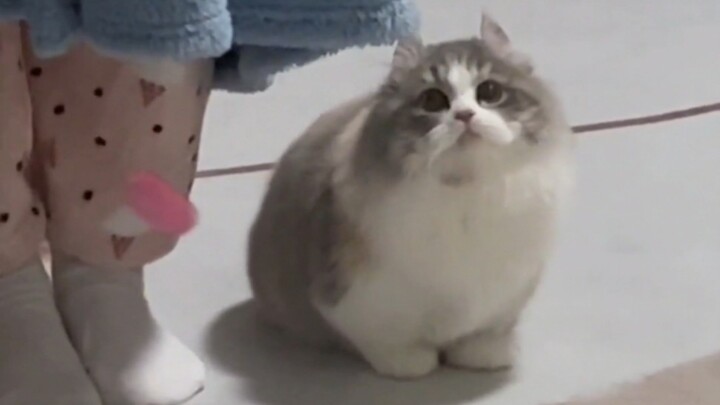 “Imut sekali, mau mati ya?”