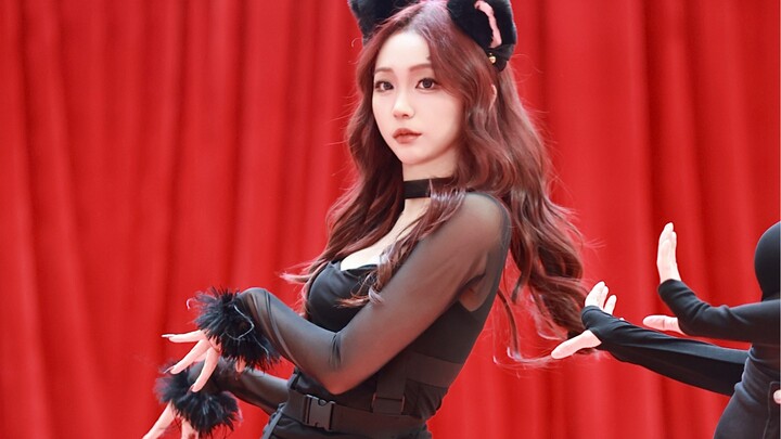 济南路演｜AOA《猫步轻悄》金雪炫位直拍｜晕腿了！全员美女系列