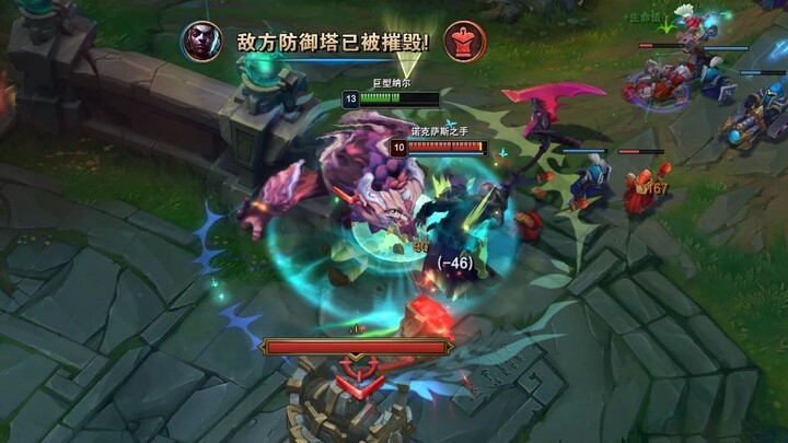 Trí tuệ của chuột, đá cũng chẳng thể sánh bằng!