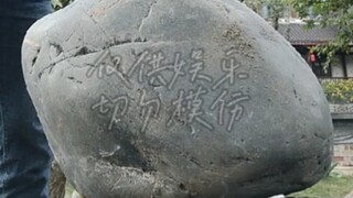 一生之敌