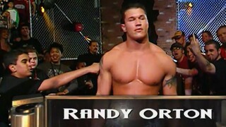 20 Funny WWE Fan Moments