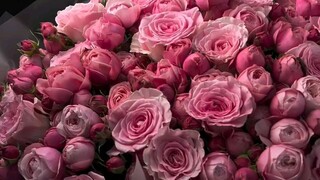 flowers 🌺