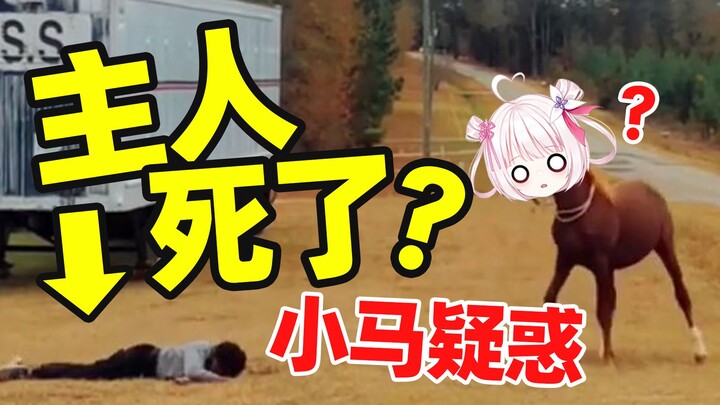 เมื่อเจ้าของจู่ๆ ก็เสียชีวิตต่อหน้าม้าน้อย