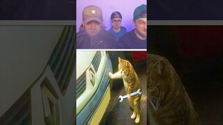 Funny Animals | 47