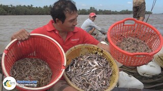 Nghề ĐÓNG ĐÁY Bội Thu Trên Sông | Hội Ngộ Miền Tây #472