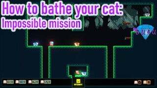 First look at HOW TO BATHE YOUR CAT: IMPOSSIBLE MISSION | Gameplay / Let's Play