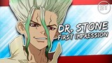 Dr. Stone (First Impressions) w/ AnimeAlley