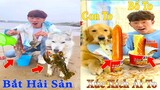 Thú Cưng TV | Gia Đình Gâu Đần #26 | Chó Golden thông minh vui nhộn | Pets funny cute dog
