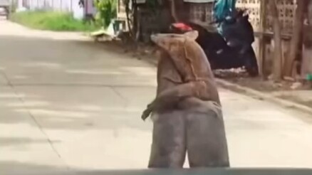 Em yêu, Ấn Độ kinh quá, hôm đó bọn họ có bốn người, hu hu hu...