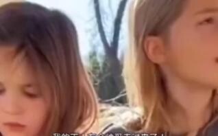 相当敬业的僚机了