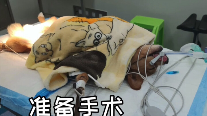 Cut it for Hani’s health!