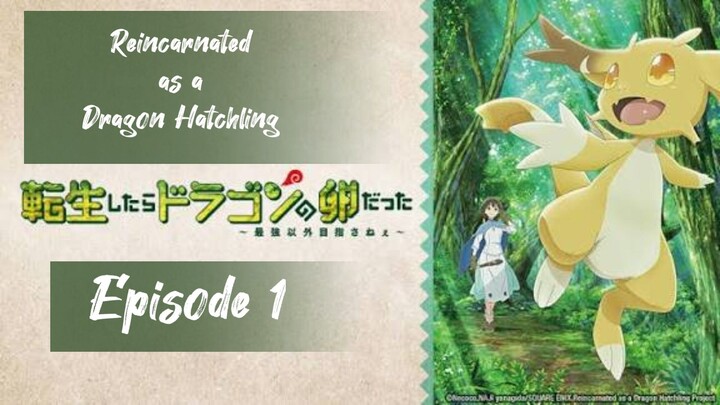 Reincarnated as a Dragon Hatchling ( Episode 1 )