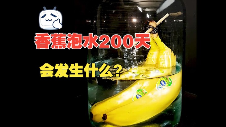 Chuối đặt trong bình thủy tinh đầy nước rồi bịt kín trong 200 ngày丨Điều gì sẽ xảy ra?