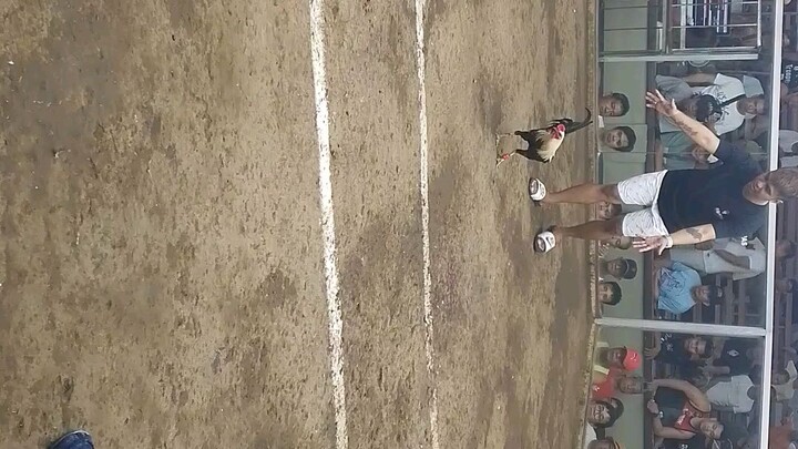 3rd win for 2025 denggoy