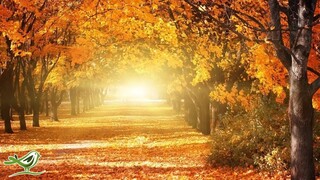 Beautiful Relaxing Music • Romantic Music, Piano Music, Violin Music, Cello Music, Sleep Music #93