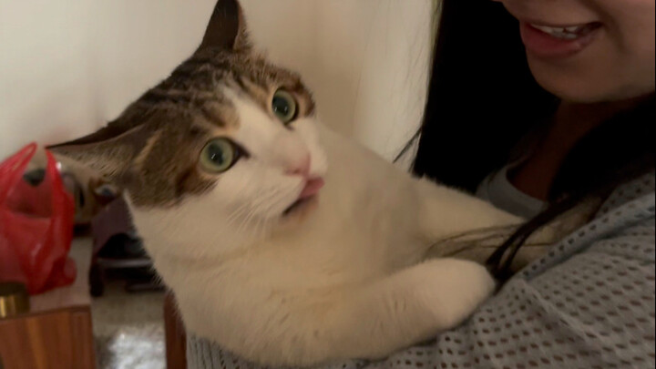 She… she… she’s actually here???