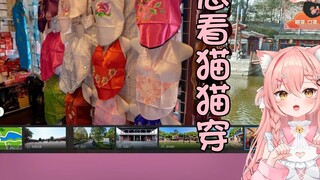 【Hiiro】Cat looks at the bellybands sold in the scenic area