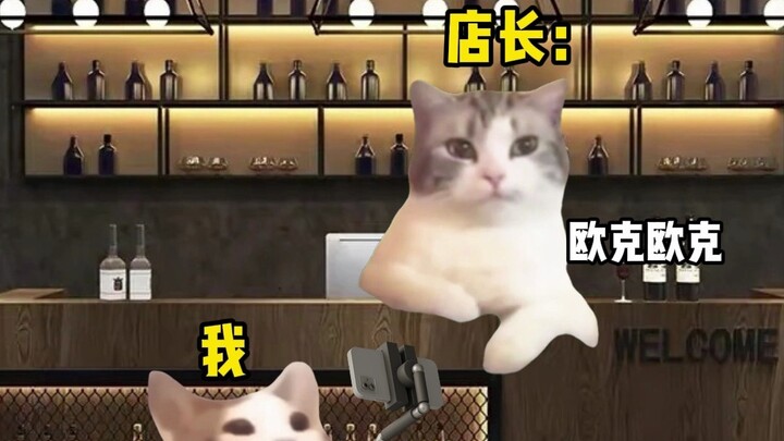 当我假装是探店博主时