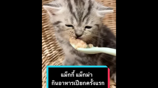 เอนดูคูมผู้ปกครอง วิ่งจู๊ดเลย