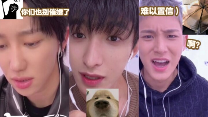 Xiao Ba teaches you how to politely decline marriage pressure; Jimi and Kui are shocked to see the u