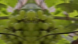 องุ่นสวยๆ