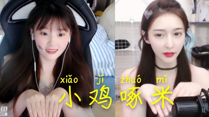 【酥 酥】这才是真的乌龟探头，小鸡小鸡，咯咯哒！