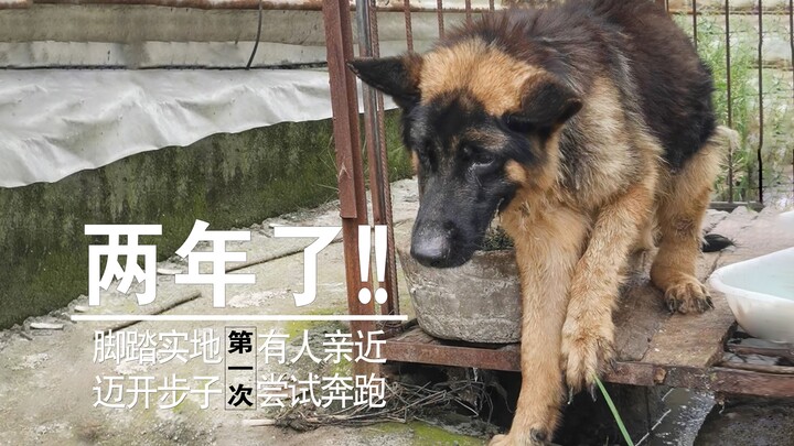 【เหลาเฟิงหยาง】คู่หูผู้ซื่อสัตย์ที่ไม่ได้ออกจากกรงมาสองปีแล้ว