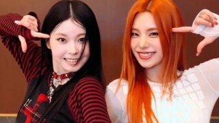 Liên minh gia tộc! Thử thách vũ đạo "UNTOUCHABLE" của ITZY & NMIXX