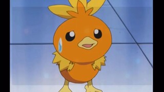 Torchic Chú pokemon Gà siêu cấp CUte