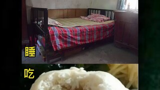 程序员八年吃饭睡觉的变化，这简直是血泪史