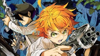 [Yakusoku no Neverland AMV/Ran Xiang] Akhirnya, sarang walet kembali dengan bebas