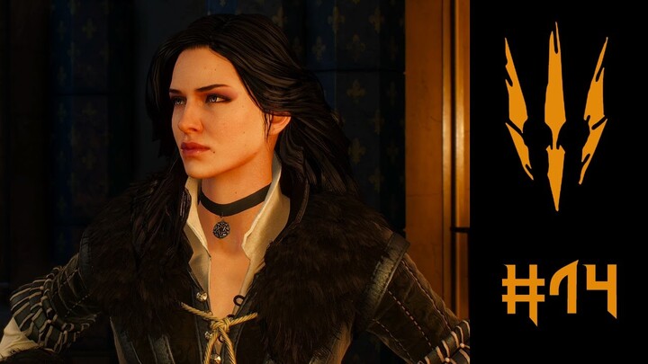 The Witcher 3: Wild Hunt | Let's Play | 14