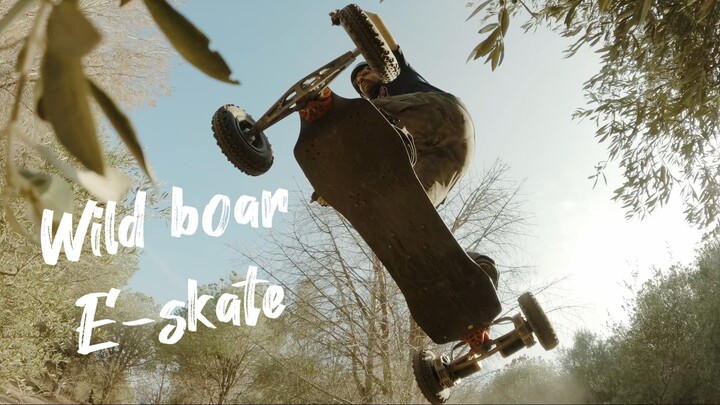 e-skate acedeck nyx z1 wild boar park v1