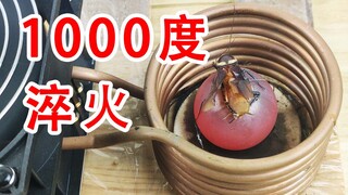 淬火蟑螂！高频电磁感应线圈能加热蟑螂吗？