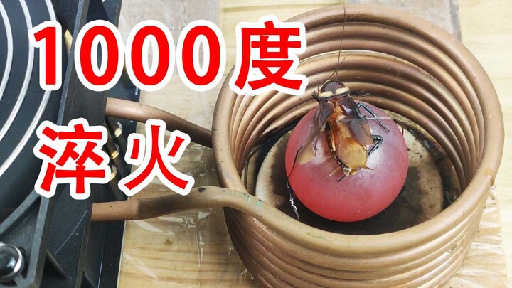 淬火蟑螂！高频电磁感应线圈能加热蟑螂吗？