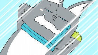 Finals P1 Serika·Car VS Yuka·Car [Blue File Animation]