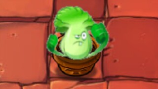 这是菜问没错吧？