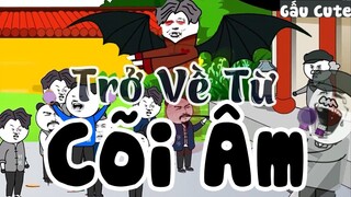 Trở Về Từ Cõi Âm ｜ Gấu Hài Hước ｜ Gấu Cute